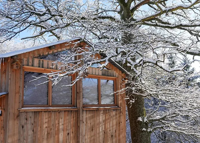 La Verdoyante Affittacamere Lierneux